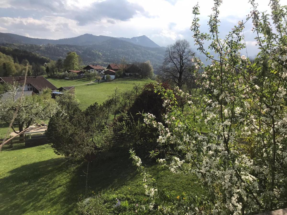 Entspannen Mit Bergpanorama Siegsdorf Dış mekan fotoğraf